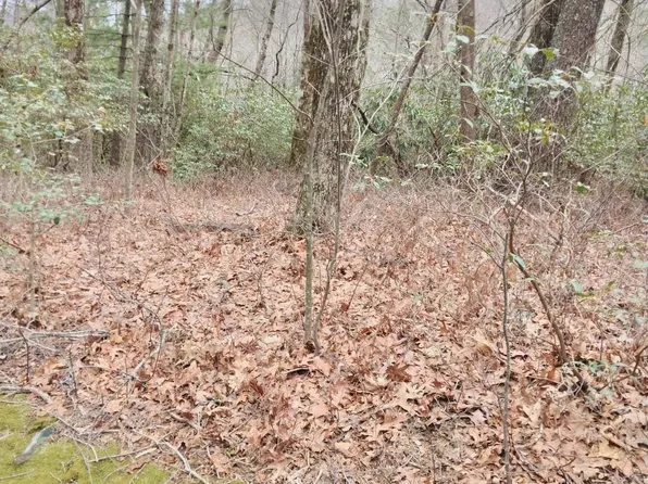 LOT Ten #&-11, Dillard, GA 30537