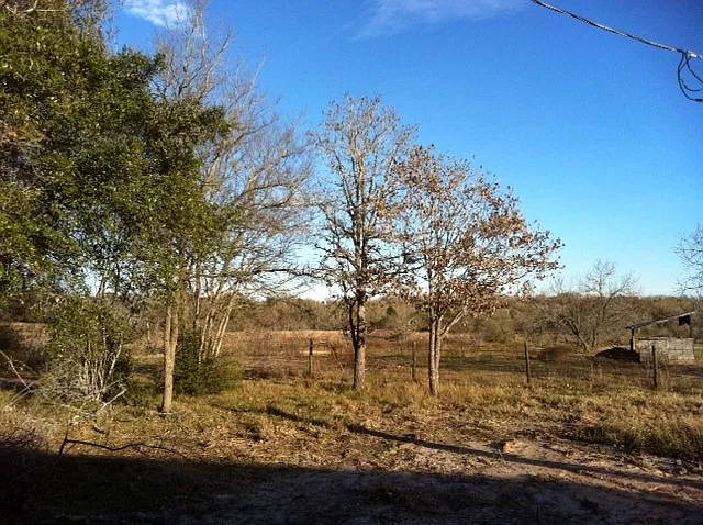 Subleased - 3/2 Manufactured Home W/3 Acres Off Fm 60 Near Tamu! Horses Allowed!! — Photo 4