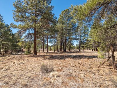 4122 N Mountain View Way, Williams, AZ, 86018