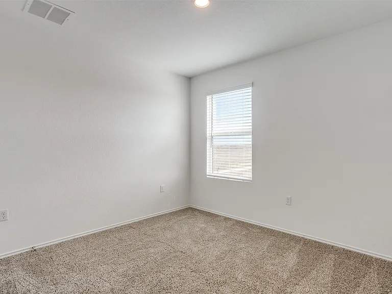 7133 Spotted Leaf Way — Photo 21