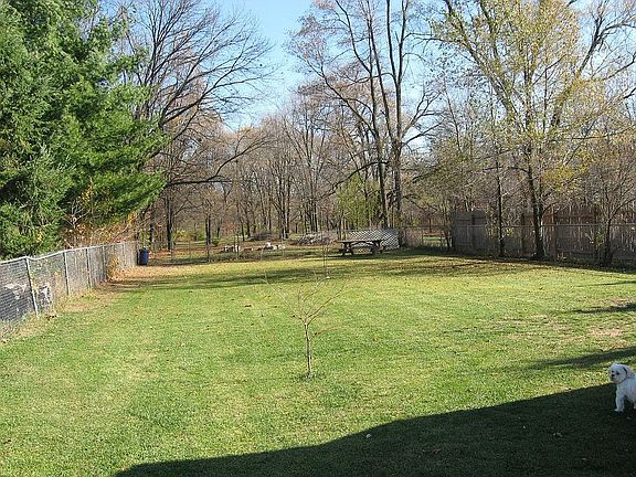 Back Yard Oct 2009