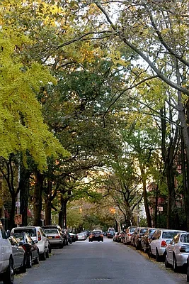 Rented by Living New York | media 17