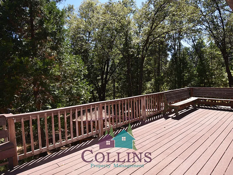 12437 Silk Tassle Cir — Photo 19