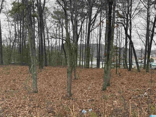 1 Centaurus Cir #2, Alpine, AL 35014