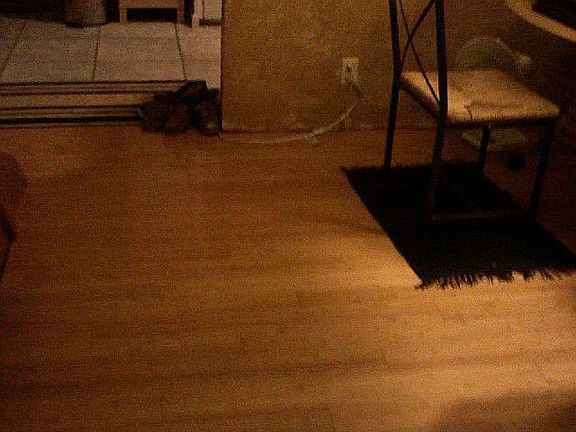 living room wood flooring