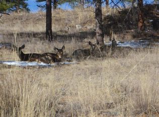28333 Pipe Bearer Ln, Evergreen, CO 80439