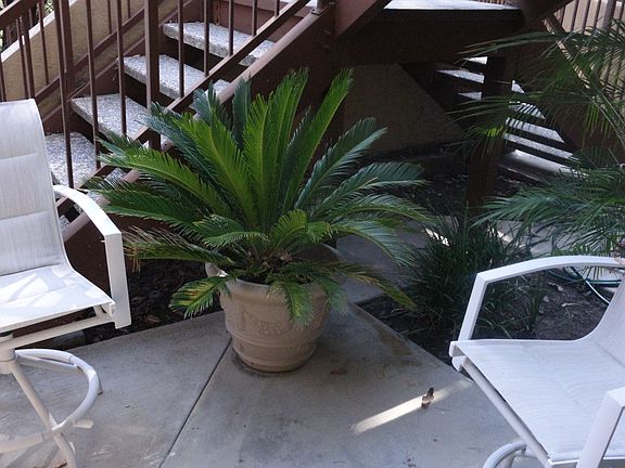 3rd image of 15367 Maturin Dr Unit 172