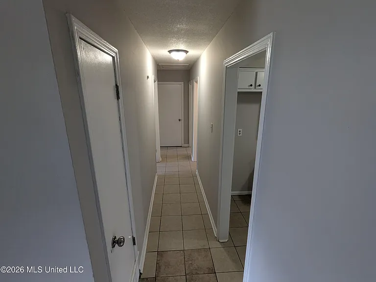 2905 Brook Cv — Photo 6