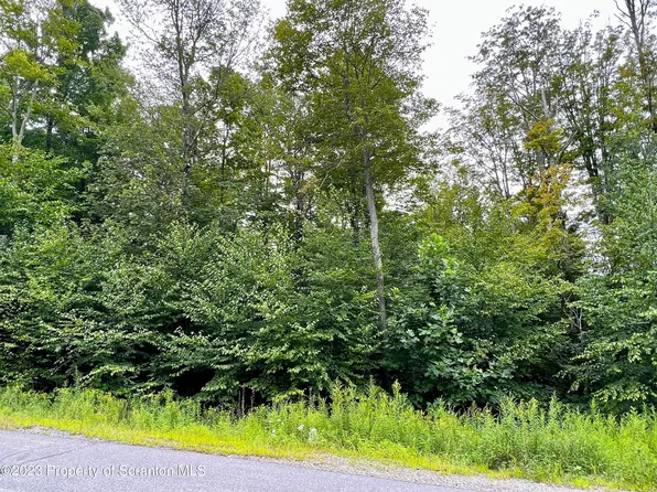 67 Summit Woods Rd, Moscow, PA 18444