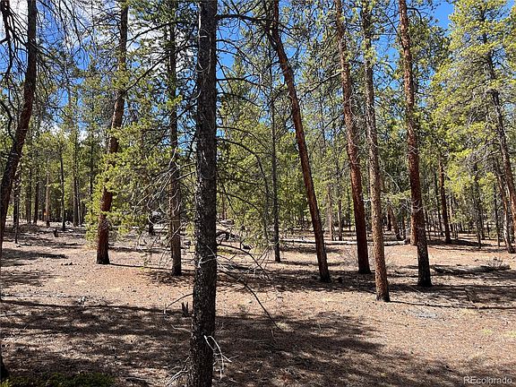 2nd image of 1013 Sequoia Drive