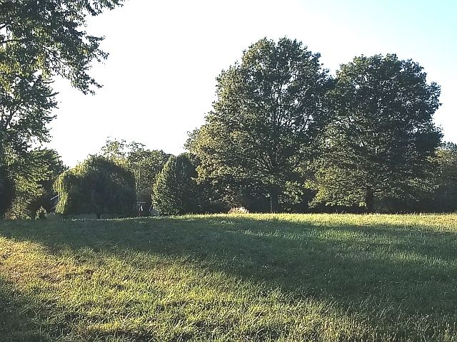 1st image of 571 Lake Wildwood Dr