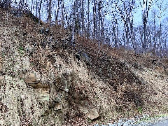 3rd image of 89 Weeping Cherry Forest Rd