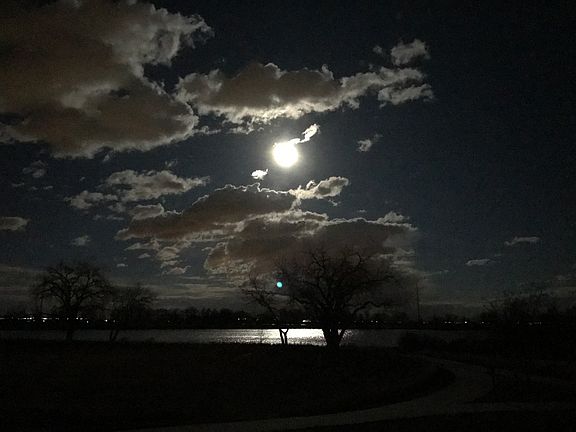 Moonlight on the lake