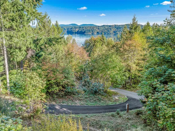 50 N Rustic Ridge Drive, Lilliwaup, WA 98555