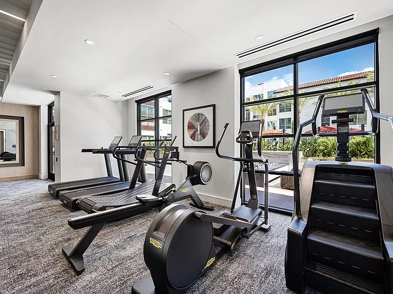 Cardio zone with treadmills, ellipticals, and stair climber