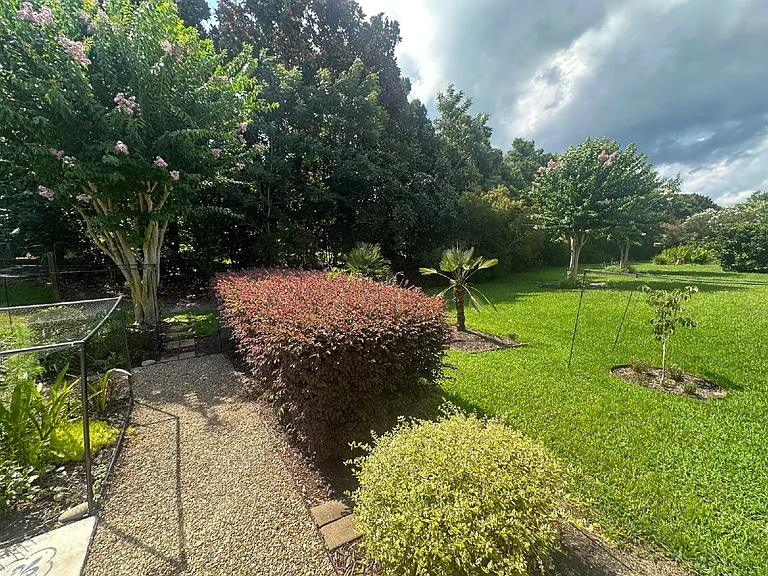 120 Spring Beauty Dr — Photo 31