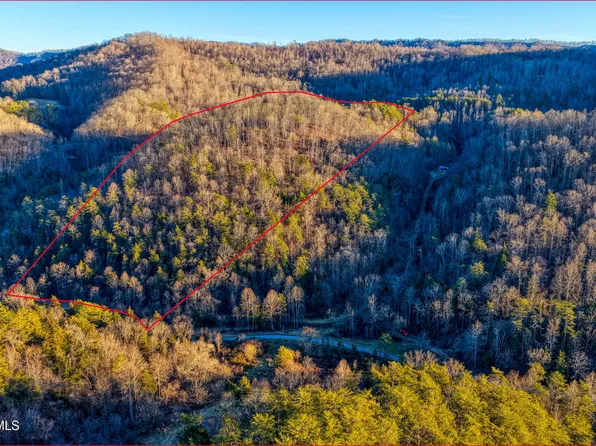 E Pumpkin Valley Rd, Eidson, TN 37731
