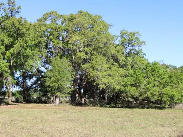 48 Cr, Bushnell, FL 33513