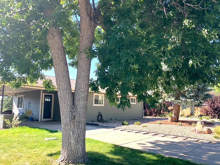 Part of side yard with covered carport on far left of photo
