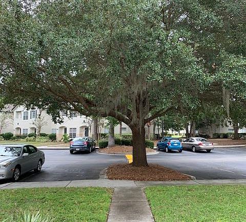 Beautiful Grounds and Parking