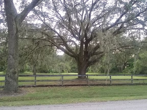 3rd image of 13319 Cain Rd
