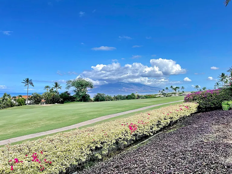 3950 Kalai Waa St #N101 — Photo 37