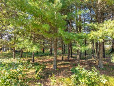 119 Sunset Cir, Wisconsin Dells, WI, 53965