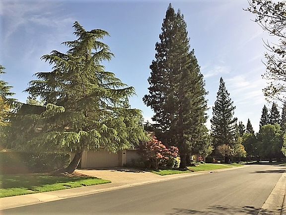 4th image of 11354 Mother Lode Cir