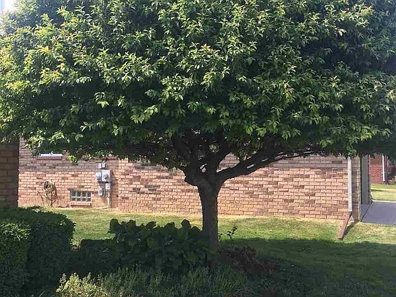 3rd image of 47253 S Fork Dr