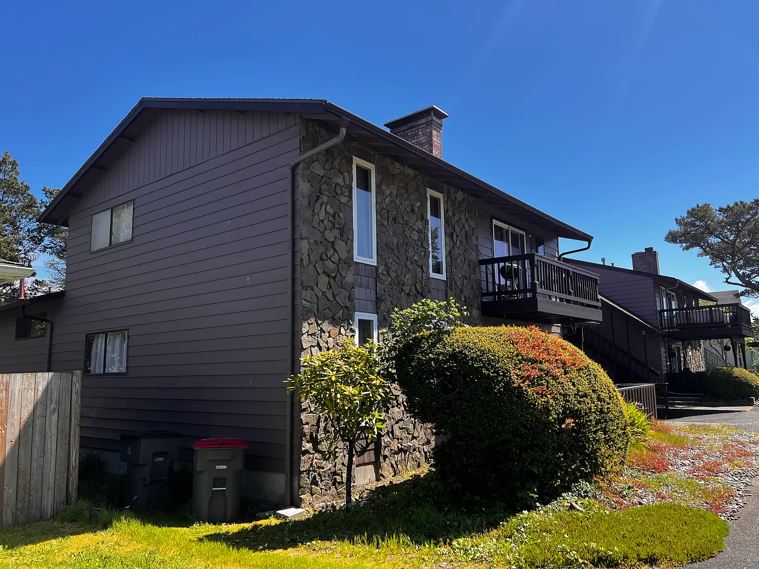 1 bed, 800 sqft, $1,500 — Photo 4