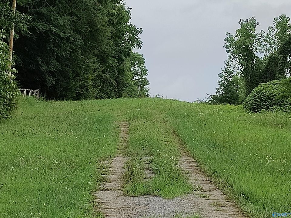 1st image of 1831 Highway 157