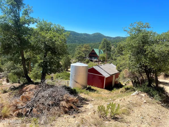 6638 E MOUNTAIN VIEW Road #-, Crown King, AZ 86343