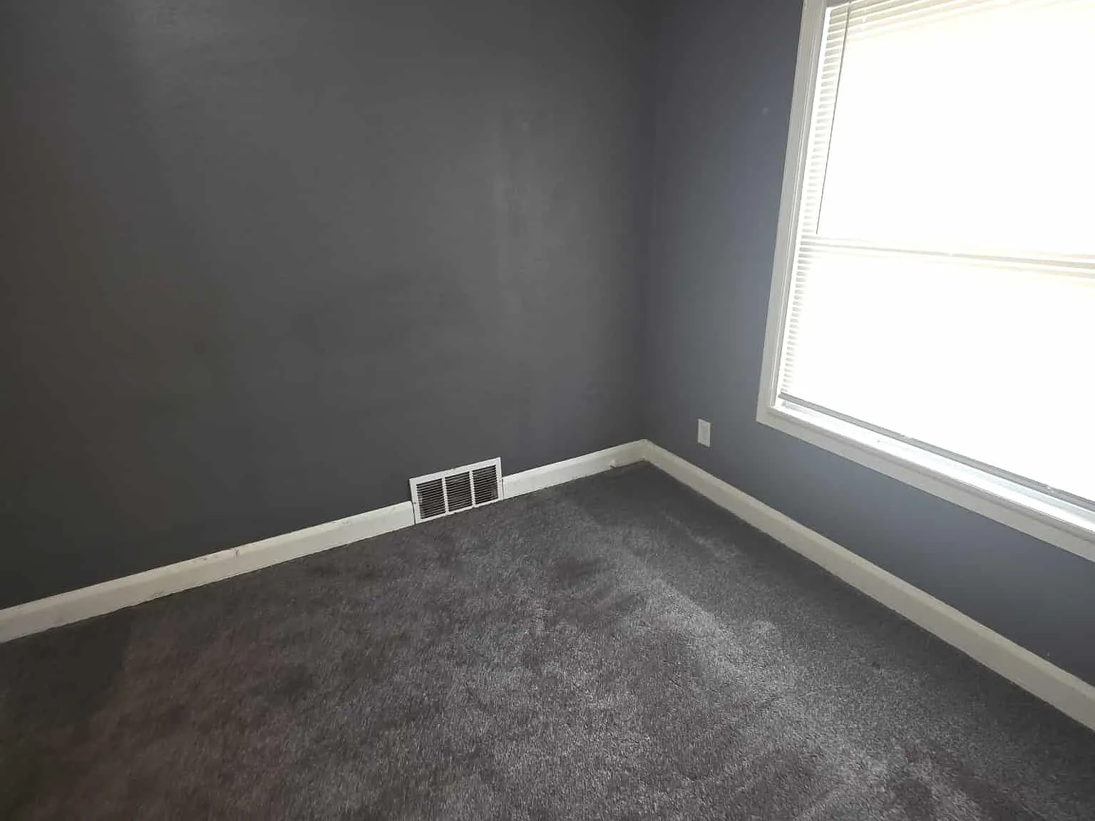 3917 Homewood-Lwr - LWR — Photo 2