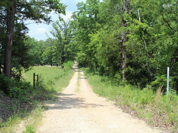 11-06-14-001 County Road 329, Dora, MO 65637