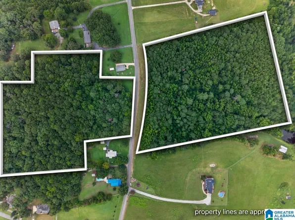 0 Pleasant Valley Rd #0, Jacksonville, AL 36265