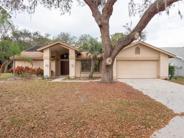 2805 Brambleridge Ct, Holiday, FL 34691