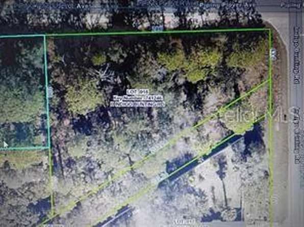 12449 INDIGO BUNTING ROAD LOT 18, WEEKI WACHEE, FL 34614