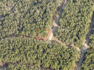 161 E Runic Ln, Dunnellon, FL 34434