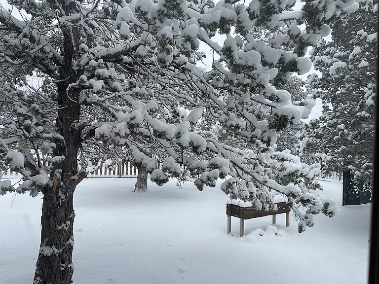 Helm Pl — Photo 24