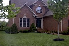 Front view