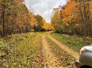 N10099 Lien Ln, Hixton, WI 54635