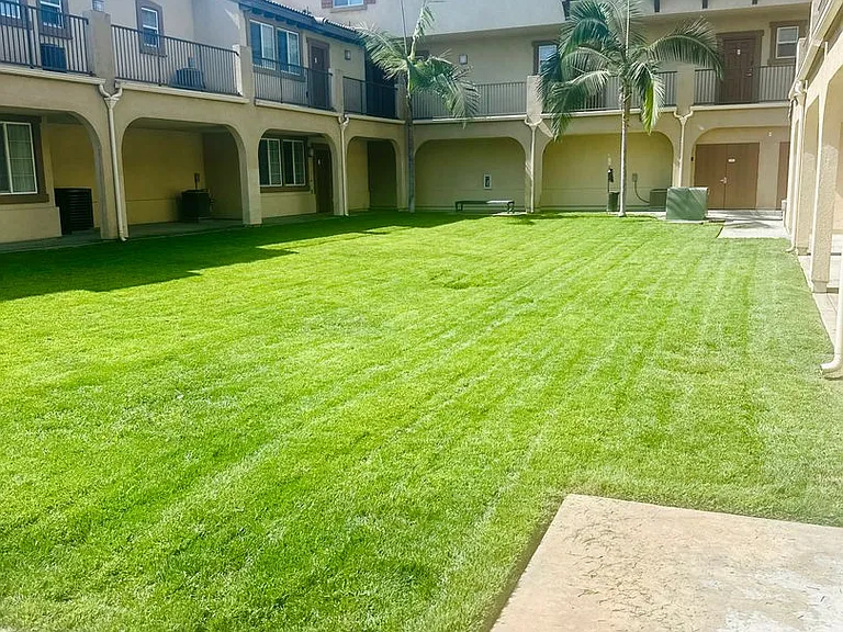 6785 Knott Ave — Photo 19