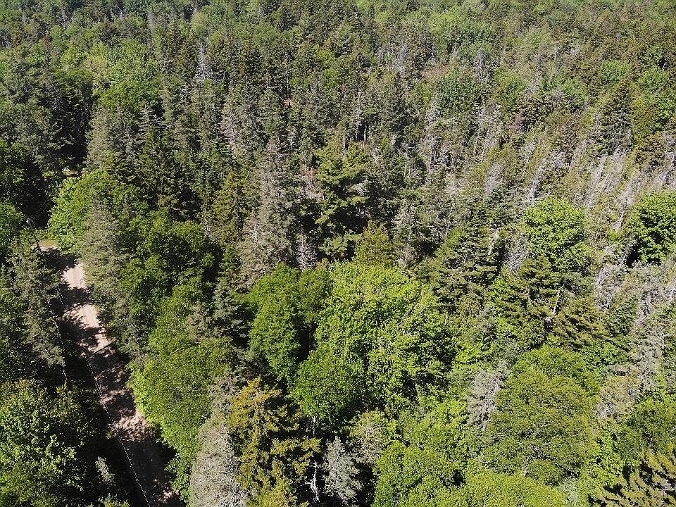 1st image of 0 Flye Point Lot 3