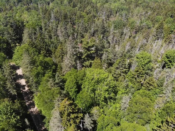 0 Flye Point Lot 3, Brooklin, ME 04616