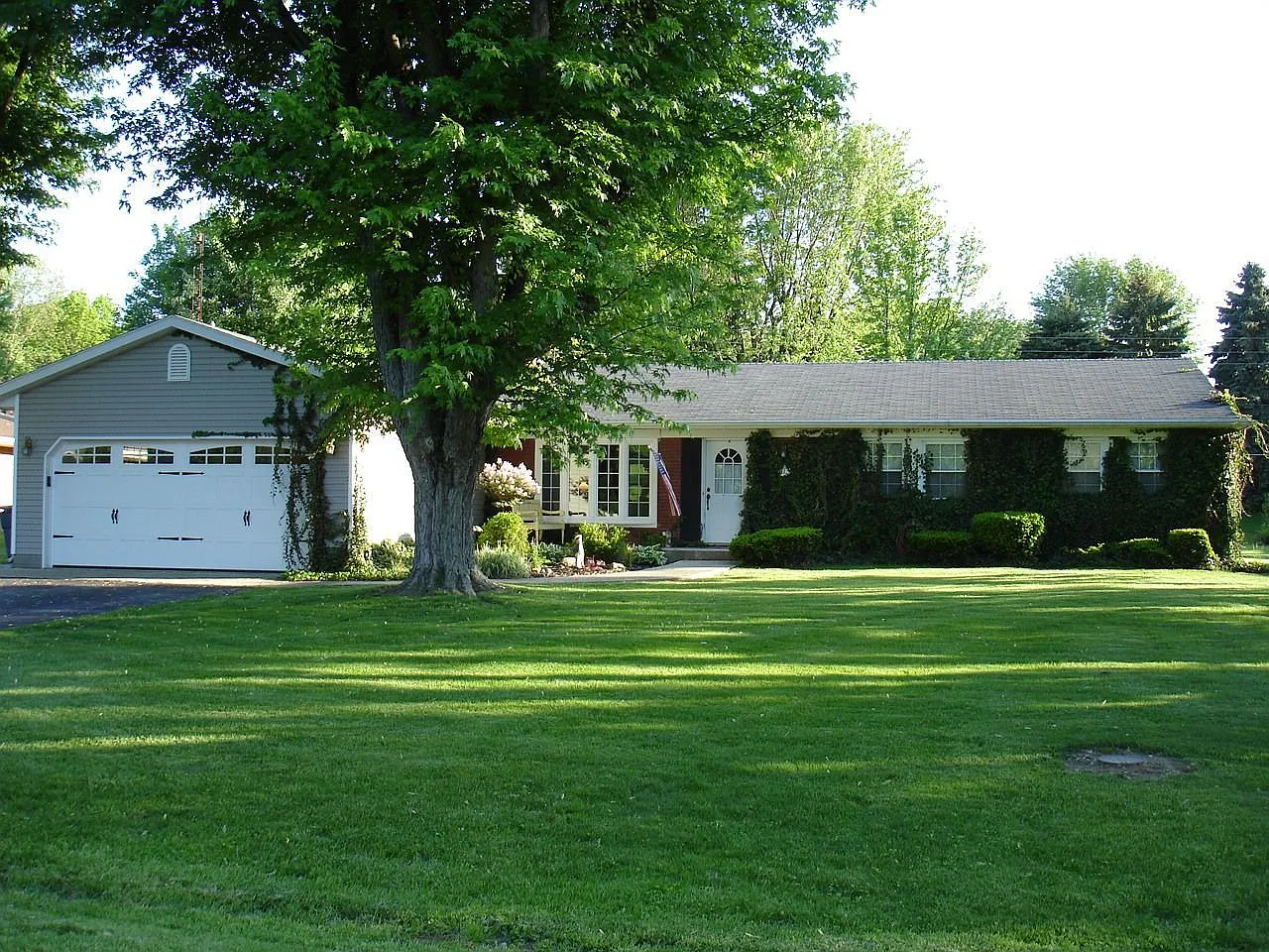 1113 Woodland Dr photo 1