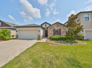 11231 Paddock Manor Ave, Riverview, FL 33569