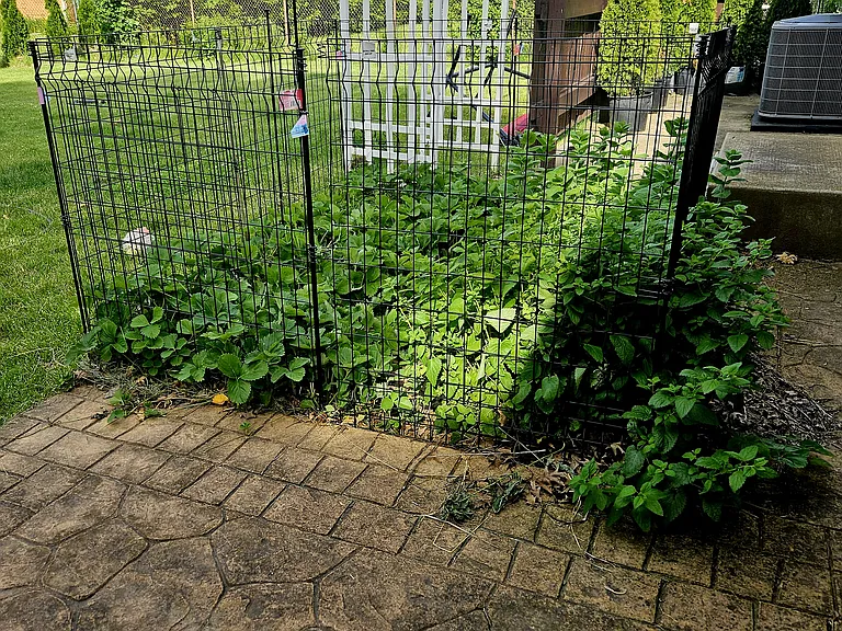 2709 W Overbrook Dr — Photo 5