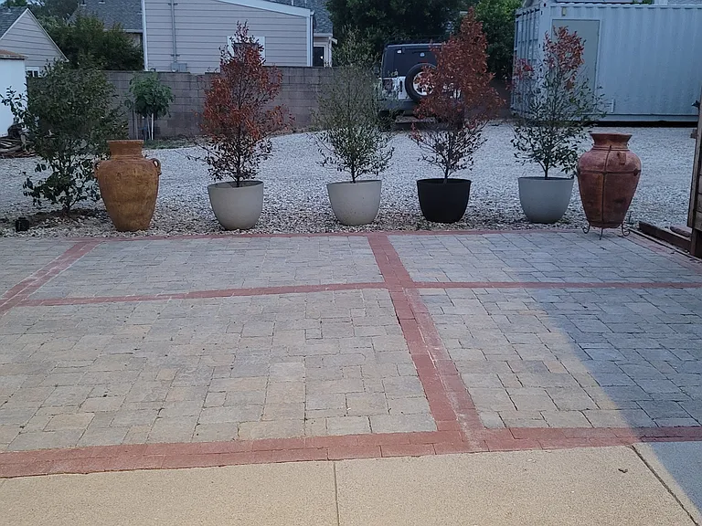 Back Patio