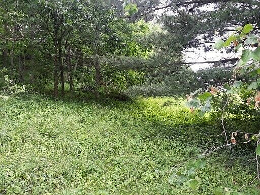 2nd image of 9999 Nazareth Rd Lot 1