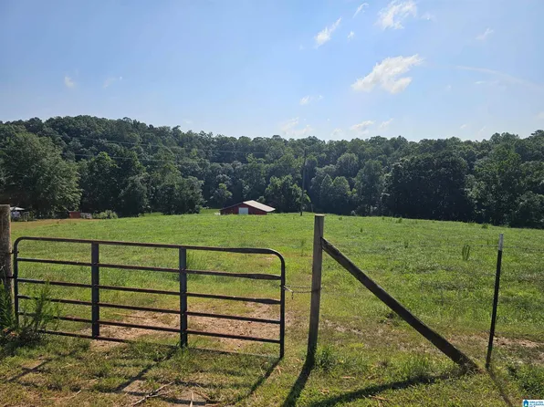 Unkn County Rd #10-0, Ranburne, AL 36273